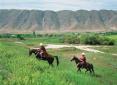 Лошади ахалтекинской породы — гордость  туркмен
