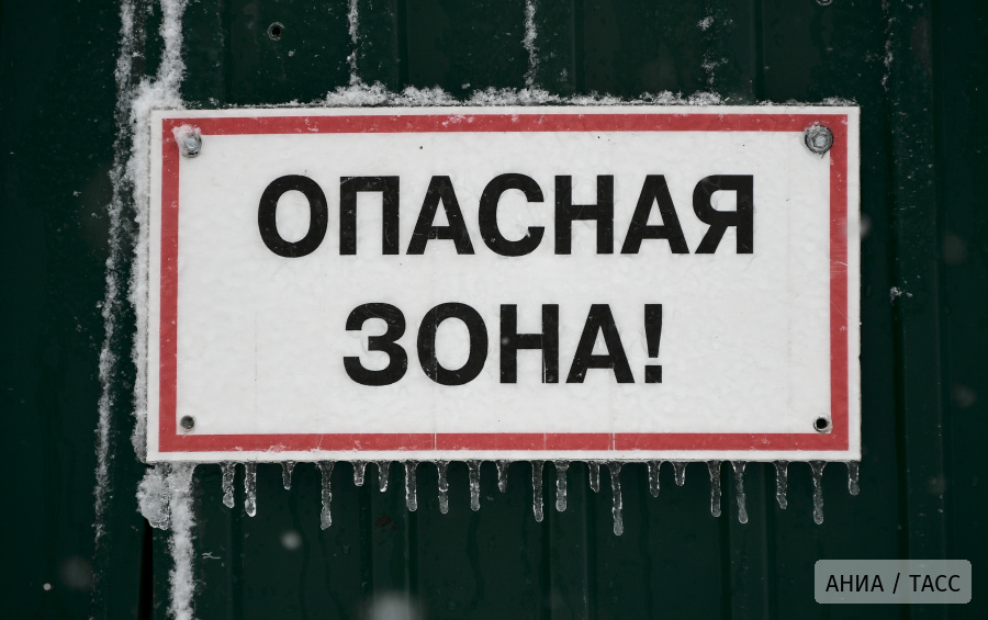 Человечество рискует "сесть на иглу" предсказаний ИИ
