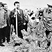 Маршал Советского Союза И.Х. Баграмян сажает дерево у здания музея основания г.Еревана (Эребуни). Автор: Исаакян/Арменпресс